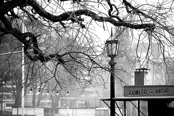 istock Winter scene in Buenos Aires city 155369269