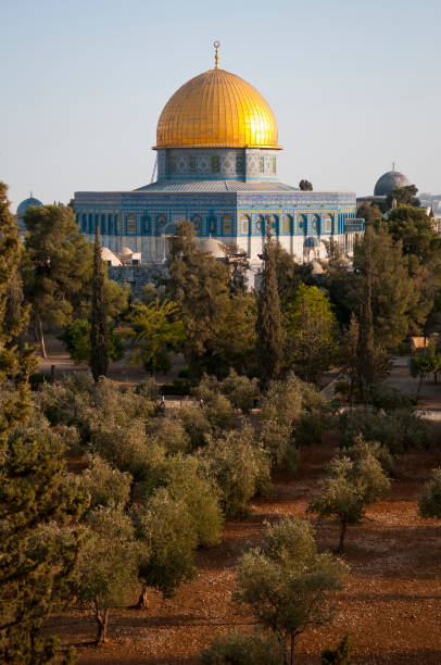 istock Dome of the Rock in Jerusalem with olive trees foreground 155369351