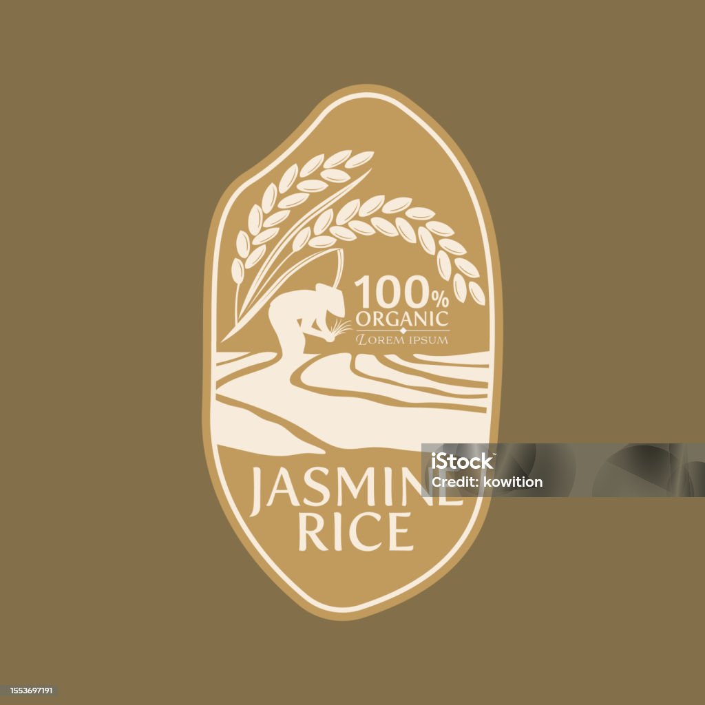 Paddy Rice Design Paddy Rice Logo Vector Design Stock Illustration - Download Image Now ...