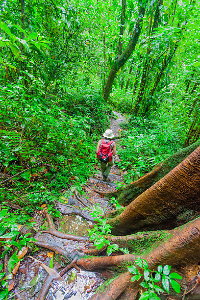 istock Vermont Nature Trail, Saint Vincent 155370060