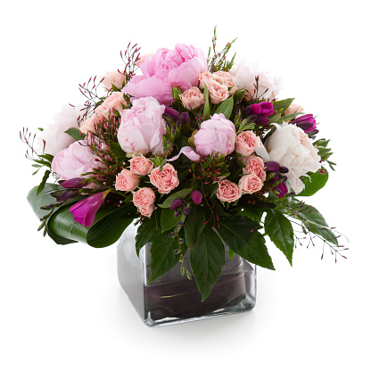 lilac with pink hyacinth in a clay flower pot, planters, isolated