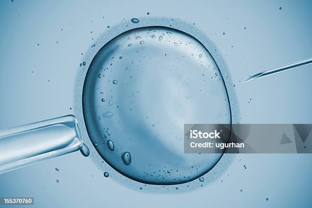 Fertilità - Fotografie stock e altre immagini di Cellula umana - Cellula umana, Nuova vita, Scienza