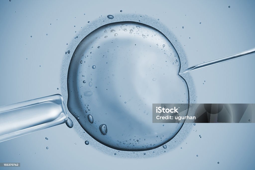 Fertilità - Foto stock royalty-free di Ovulo