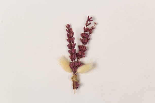 istock Boutonniere Flower arrangement 1553707853