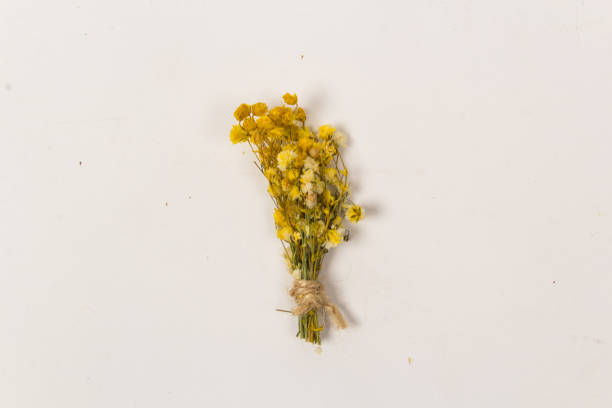 istock Boutonniere Flower arrangement 1553710508