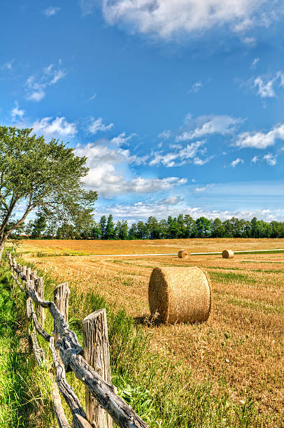 Scenery from Southwest Ontario farmlands. This is a HDR image.