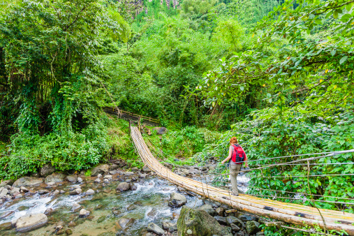 Hiker on the bamboo bridge that crosses the Richmond River and leads to the Dark View Falls. The swinging (but safe) natural bridge is made of long bamboo poles. This beautiful natural site is located in the north west of St. Vincent. Canon EOS 5D Mark II