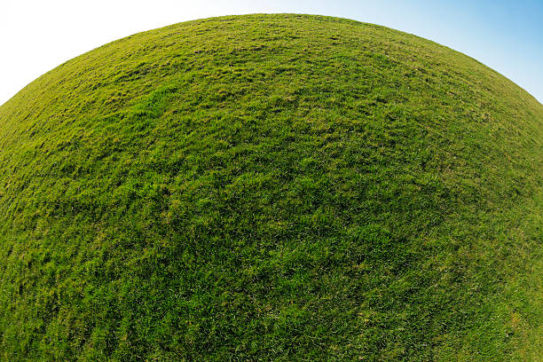 Green Planet Earth. Sphere Grass Background Green Planet Earth. Sphere Grass Background. convex stock pictures, royalty-free photos & images