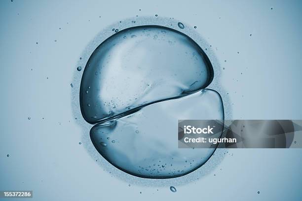 Cell Stock Photo - Download Image Now - Biological Cell, Human Cell, Microscope