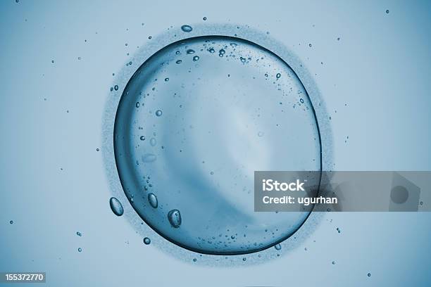 Human Cell Stock Photo - Download Image Now - Human Egg, Human Cell, Biological Cell