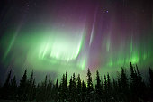 Eerie green twilight view of Aurora Borealis over forest