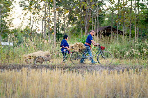 Young family is preparing to water their field in a communal organic garden. Communal garden on Cisarsky island in Prague feels like miles away from the busy city center, which is less than 5 miles away.