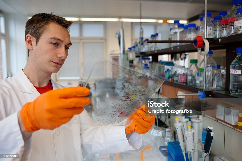 연구하는 숫나사 과학자 검사실 결과를 DNA 테스트 - 로열티 프리 생물학 스톡 사진