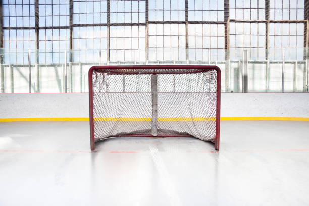 istock Ice hockey net in an arena 155372928