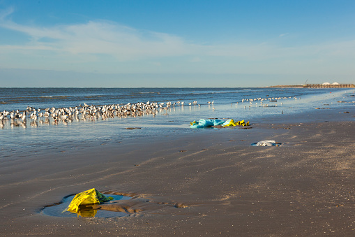 Plastic pollution on a beach in the gulf of mexico in texas, next to oil and petrochemical refineries, Texas, USA