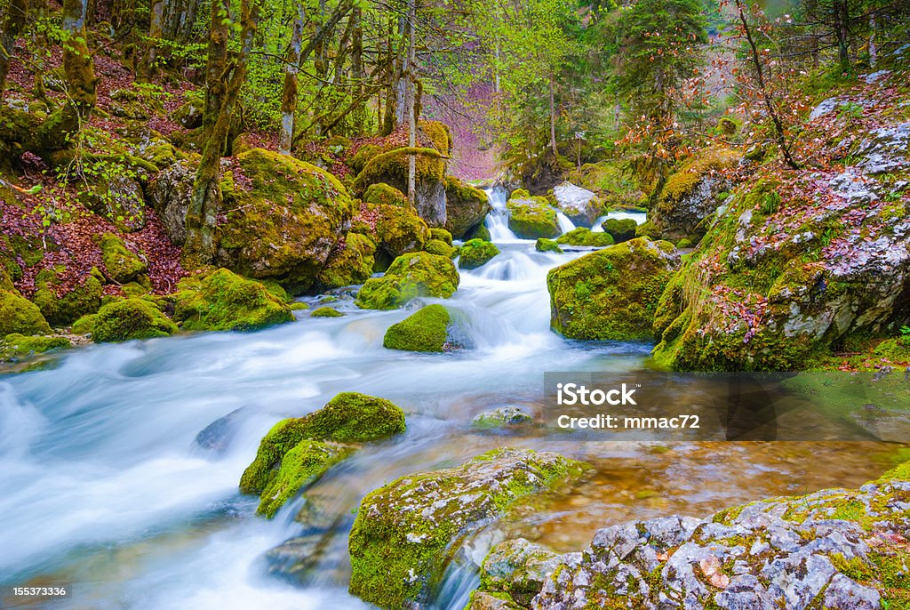 Beautiful Water Stream The photo was taken in the French Alps near Grenoble at La Cirque de Saint Meme. In this particular time of the year thanks to the new foliage and to the lush covering the rocks, the place resemble a bewitched landscape. European Alps Stock Photo