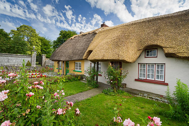 istock Irish traditional cottage house 155373392