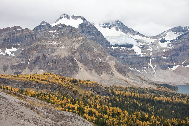 Rocky Mountains in Fall Kananaskis Country, Alberta, Canada in fall. lake magog photos stock pictures, royalty-free photos & images