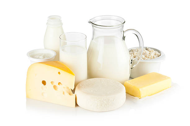 Assortment of most common dairy products on white backdrop Image of dairy products shot on reflective white backdrop. Includes: milk, various types of cheese, butter, ricotta, milk cream and yogurt. A milk pitcher and a glass of milk are in the center while the rest of the products are around them. A soft shadow is visible in the foreground. The predominant color is white. DSRL studio shot with Canon EOS 5D Mk II   dairy product photos stock pictures, royalty-free photos & images