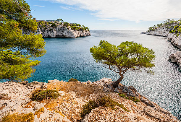 Creeks Calanques, the famous geological formation between Cassis and Marseille  mediterranean coast of France marseille stock pictures, royalty-free photos & images