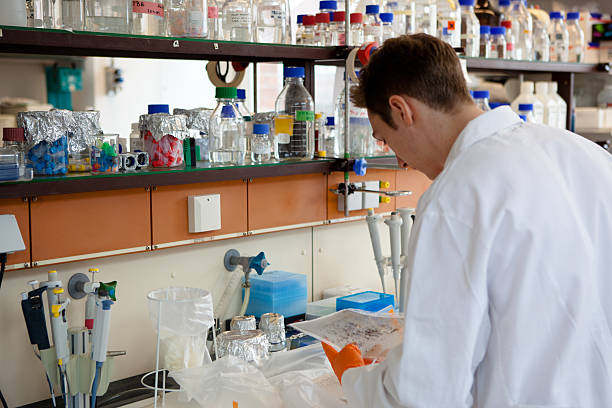 masculino cientista no laboratório analisar resultados de teste de dna - separating laboratory - fotografias e filmes do acervo