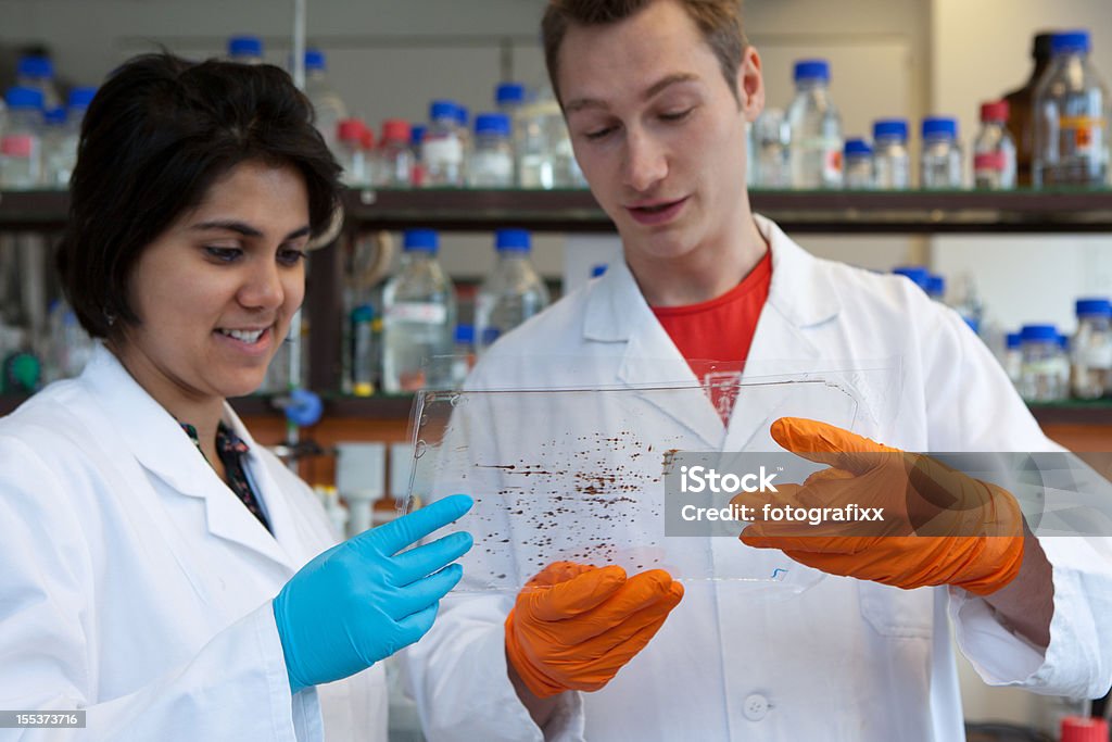 Dois cientistas, em laboratório discutir sobre os resultados do Teste de DNA - Foto de stock de Analisar royalty-free