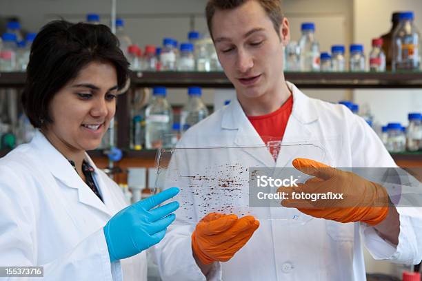 Foto de Dois Cientistas Em Laboratório Discutir Sobre Os Resultados Do Teste De Dna e mais fotos de stock de Analisar