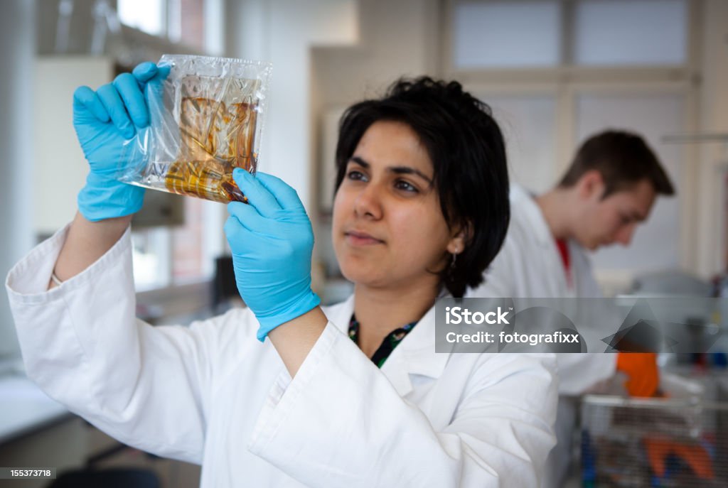 Fêmea cientista no laboratório estudar os resultados de um teste ADN, - Royalty-free ADN Foto de stock