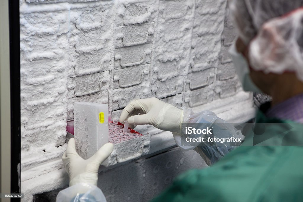 Pesquisador looks para amostras num congelador Thermo científica - Royalty-free Congelador Foto de stock