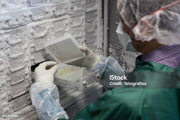 研究者はサンプルサーモ科学フリーザー - 冷凍庫のストックフォトや画像を多数ご用意 - 冷凍庫, 実験室, 低温生物学