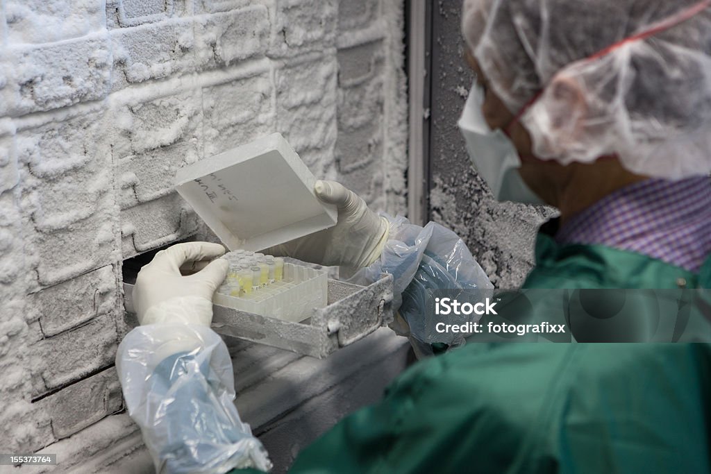 연구자 부러워합니다 �검체에 대해 Thermo Scientific 냉동고 - 로열티 프리 냉동실 스톡 사진