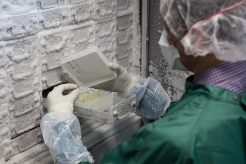 Medical Research: scientist in protective workwear looks for stem cell samples in a Thermo Scientific freezer