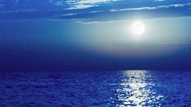 istock southern night, wonderland 155373814