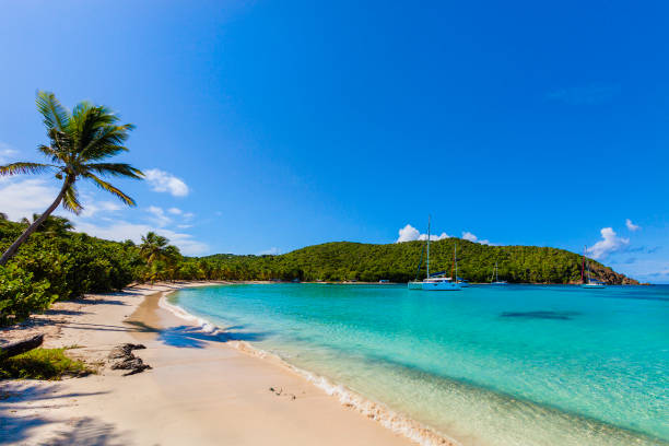 baía de salt whistle, mayreau - ilha mayreau - fotografias e filmes do acervo