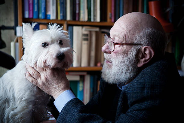 istock Veterinarian doctor and dog 155373842