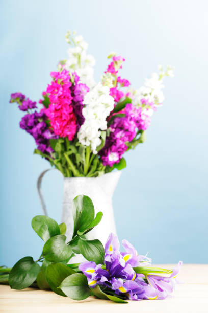 istock Flower Arrangement with Stocks and Irises 155373908
