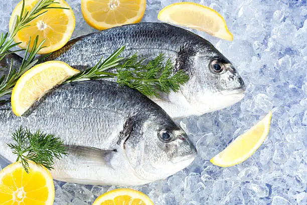 fresh gilt heads with lemons and herbs on ice