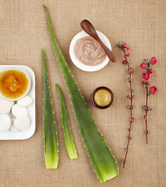 istock Still life with aloe vera, honey, sugar scrub and flower 155374029