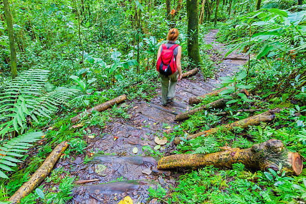 istock Vermont Nature Trail, St. Vincent 155374040
