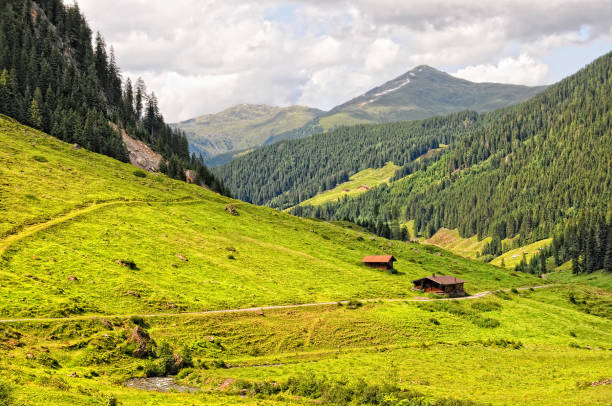 istock Farm at Schoenach valley in Tirol (European Alps Austria) 155374324