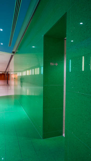 istock Architecture design: toilet entrance from a green corridor 155374520