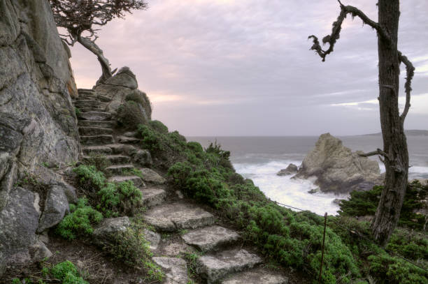 Coastal Cliff Stairway A stairway on the edge of a cliff -- Point Lobos State Reserve, California point lobos state reserve stock pictures, royalty-free photos & images