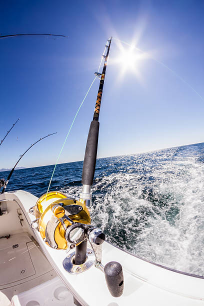 360+ Fishing Reel Pacific Ocean Sports Stock Photos, Pictures