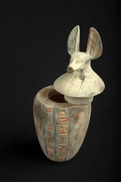 Canopic jar with jackal head as lid on black velvet background.