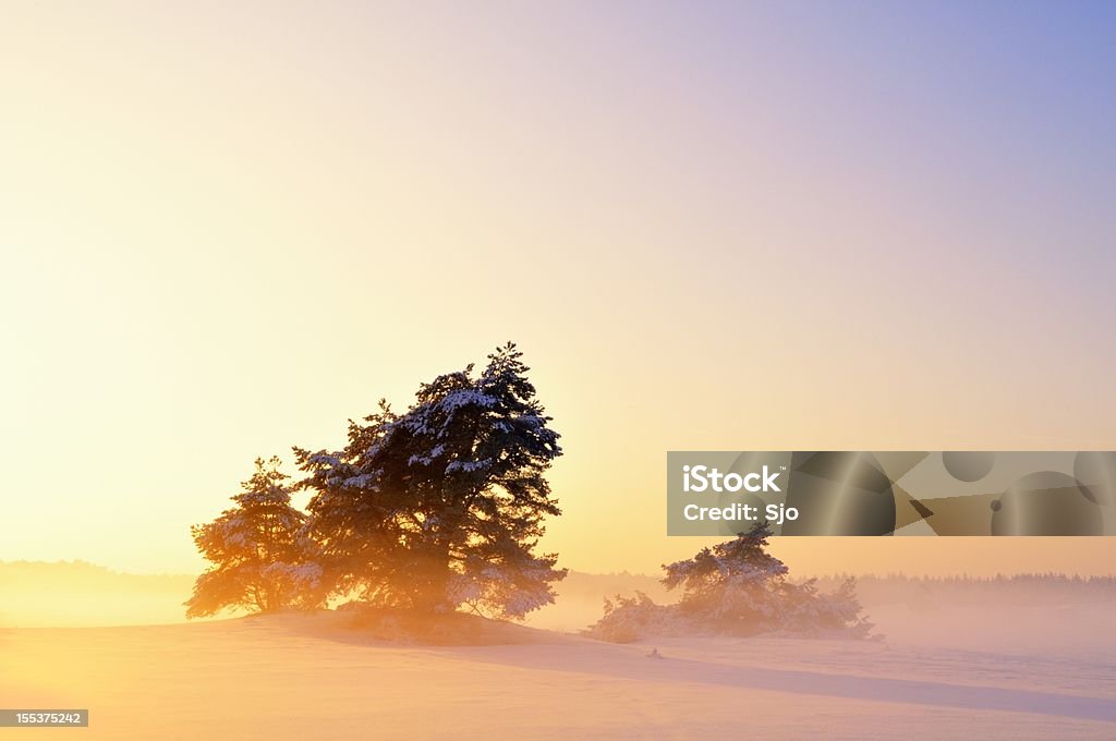 Moody paisagem de inverno - Foto de stock de Ajardinado royalty-free