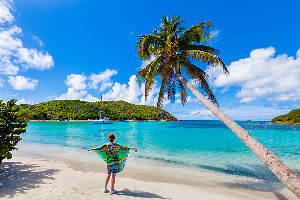 baía de salt whistle, mayreau - ilha mayreau - fotografias e filmes do acervo