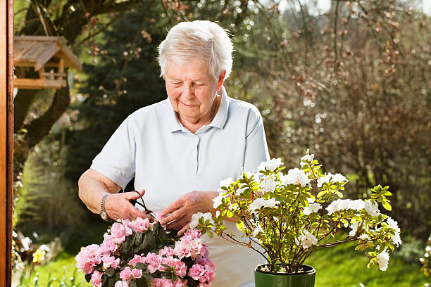 高齢者の女性の春の園芸 - women large build gardening outdoors ストックフォトと画像