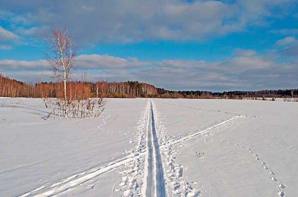 スキーコースのフィールド - rural scene russia ski track footpath ストックフォトと画像