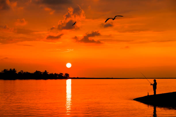 A man is fishing on the shore during sunset in Costa Rica.  The setting sun is reflected on the water and a couple of cormorant birds are flying overhead.