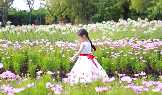 Little girl in white dress walking with flowers around in the garden. Rear view.